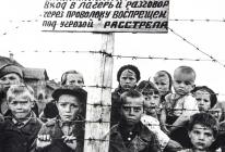 Почему Холокост евреев важнее холокоста остальных народов?