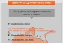 러시아 연방 군대의 종류와 부문