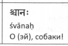 Sanskrit: Sprache, Schrift, Studiengeschichte